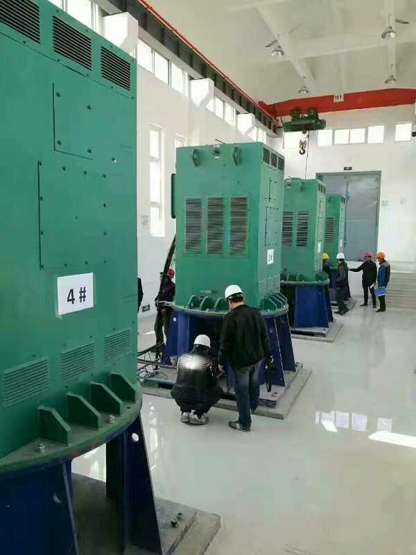 龙海某污水处理厂使用我厂的立式高压电机安装现场
