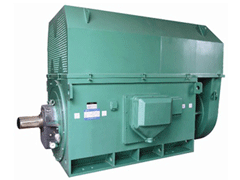 龙海Y系列6KV高压电机